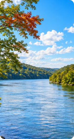 Riverfront RV camping at Roses RV River Resort on the Alabama River in Millbrook, AL