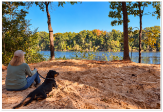 Relaxing by the river with our furry companions at Roses RV Resort.